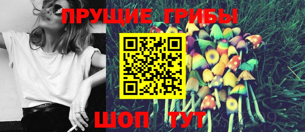 Псилоцибиновые грибы Magic Shrooms  Вход с VPN  Электрогорск  Галлюциногенные грибы GOLDEN TEACHER 
